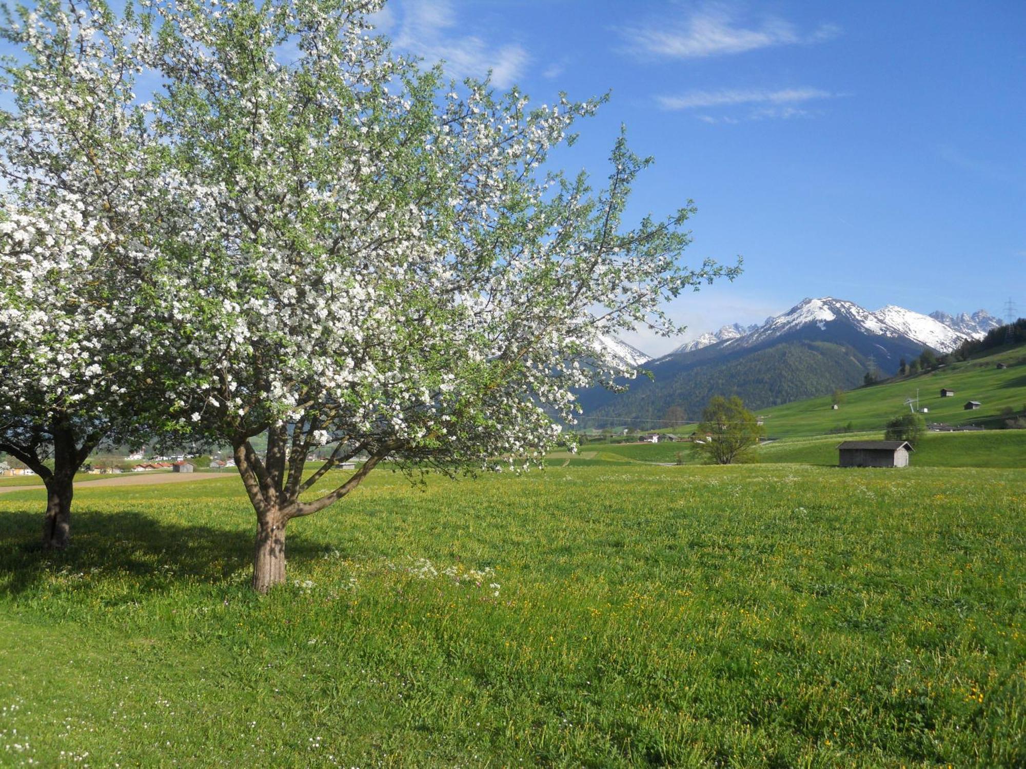 Gaestehaus Weber Oberperfuss Luaran gambar